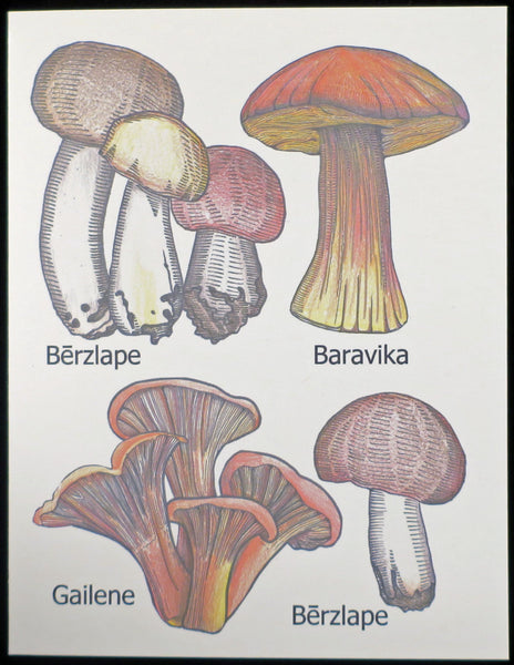 Mushroom Card