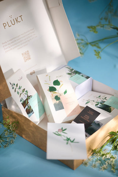 Plukt | Gift herbal tea set EXPLORE