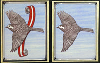 White wagtail - national bird of Latvia Card